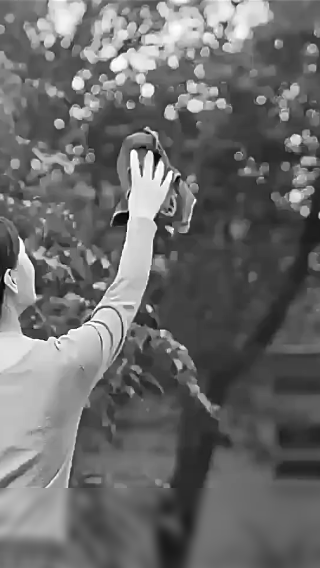 (30% de descuento) Limpiador de ventanas telescópico | WINDCLEAN