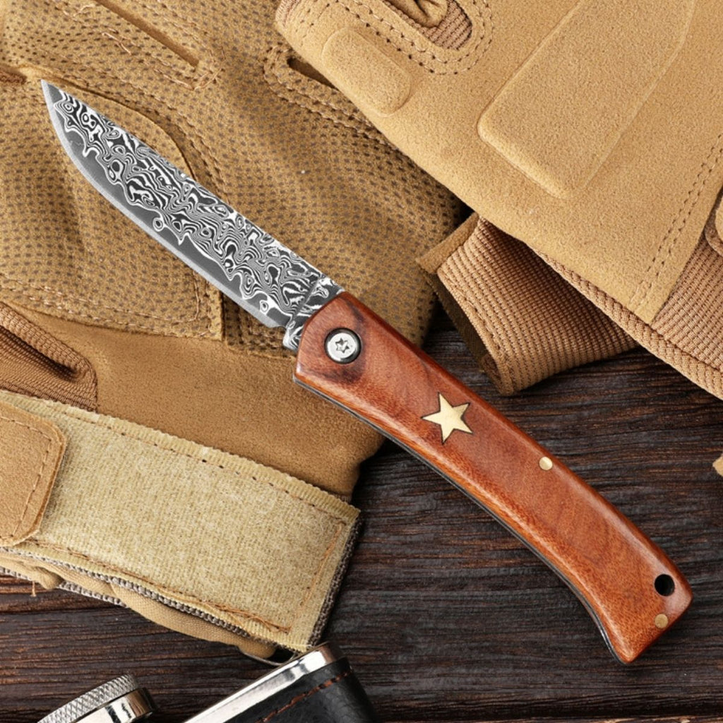 Cuchillo Damasco Compacto Para Frutas | AoKai Knife