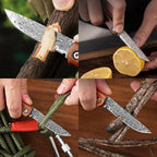 Cuchillo Damasco Compacto Para Frutas | AoKai Knife